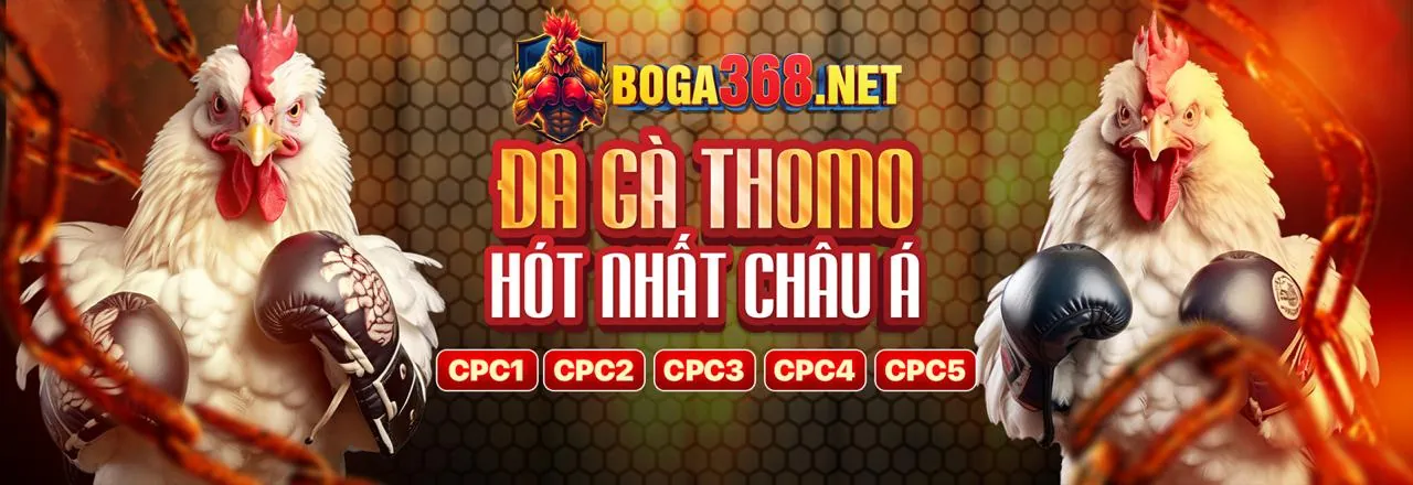 Đá gà KUDV - Sân đấu trực tuyến đỉnh cao